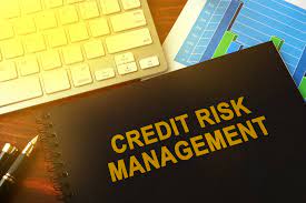 Credit Risk Management |