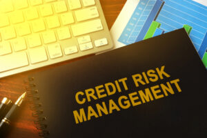 Credit Risk Management | Kenstone Capital