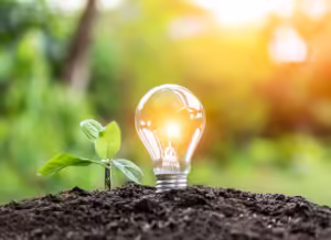 Navigating the Credit Rating Landscape: Expert Tips and Insights