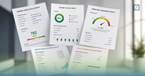 Business credit report